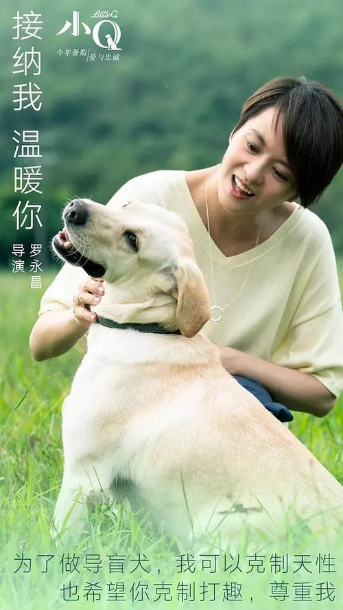 保加利亚护照模板怎么买到